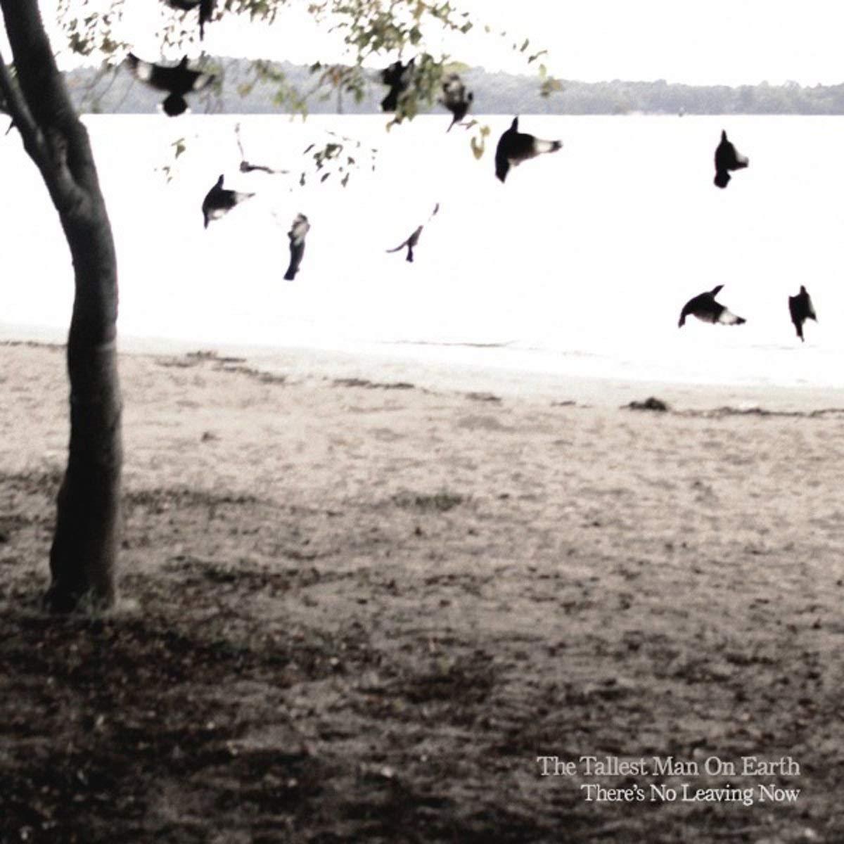 Tallest Man On Earth - There's No Leaving Now - Lp
