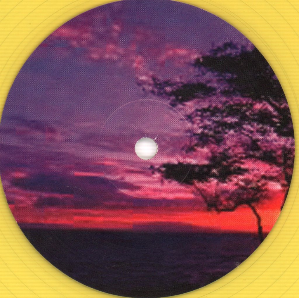 Proper Ornaments - Waiting For The Summer - Lp