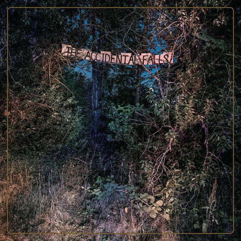 Eyelids - Accidental Falls - Lp