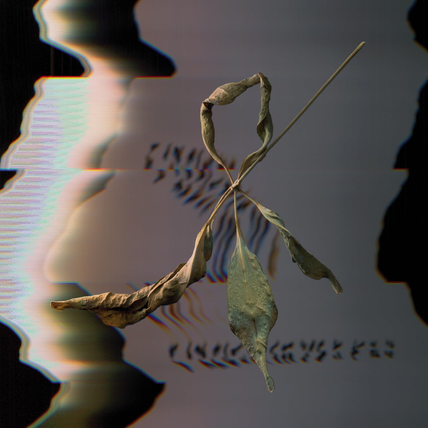 T. Gowdy - Trill Scan - Cd