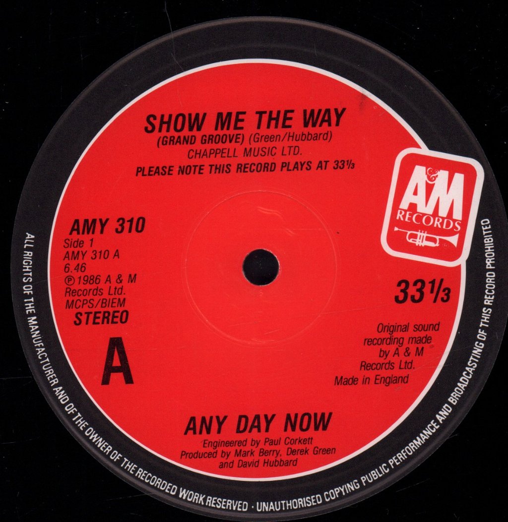 Any Day Now - Show Me The Way - 12 Inch