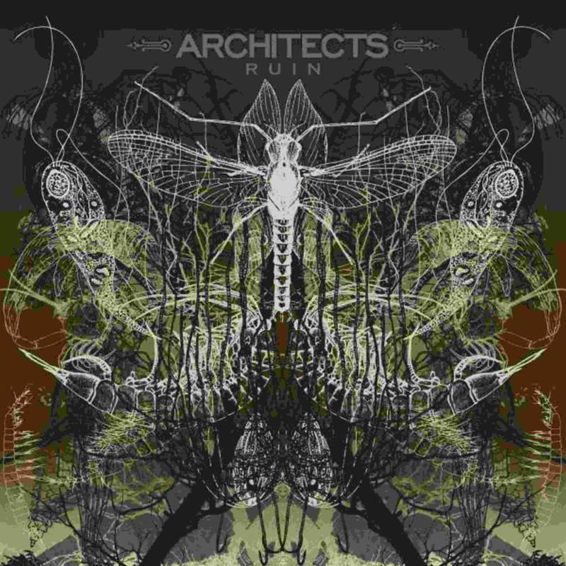 Architects - Ruin - Lp