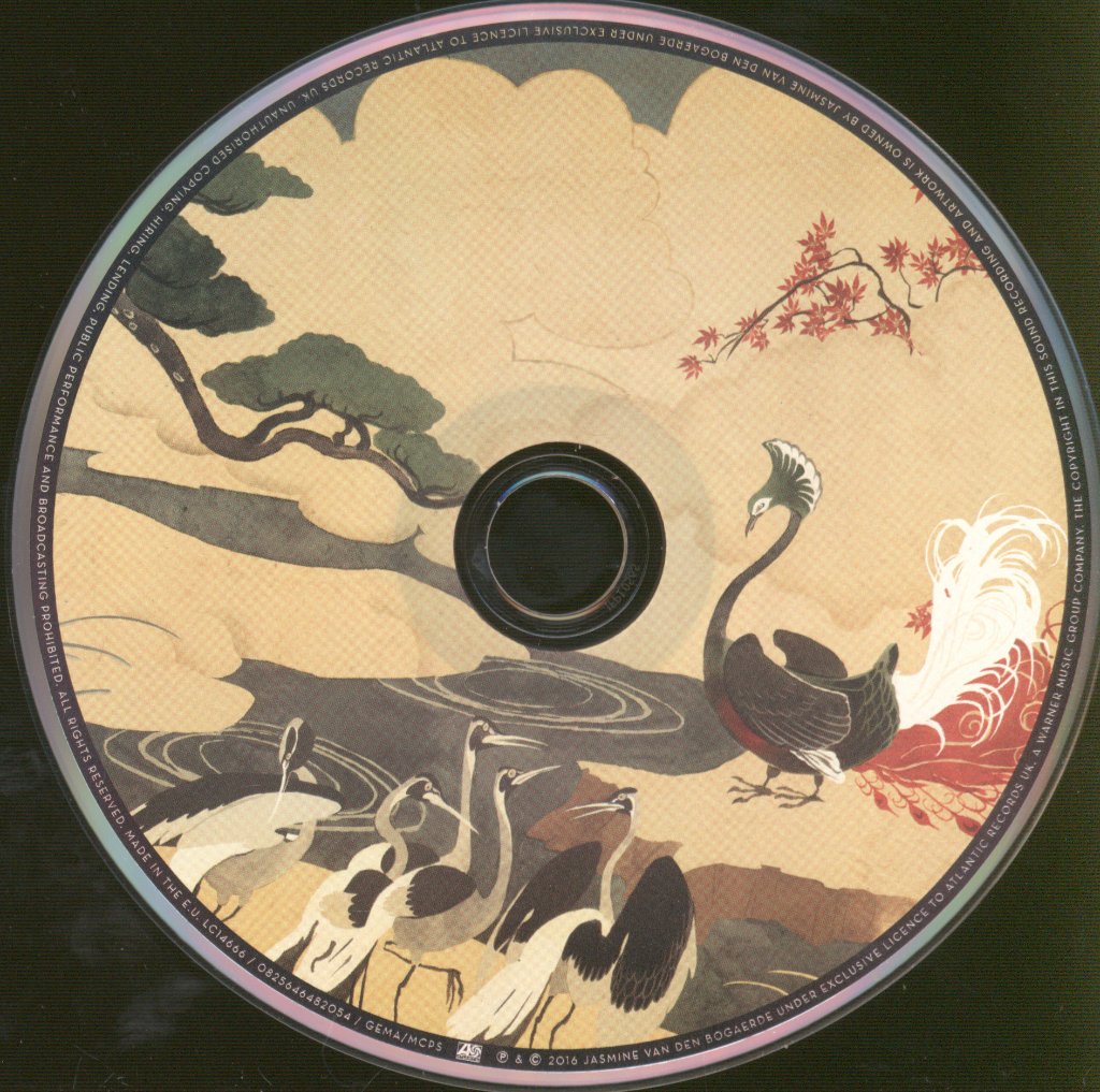 Birdy - Beautiful Lies - Cd