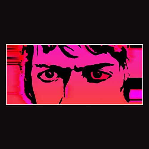 Delicate Steve - Till I Burn Up - Cd