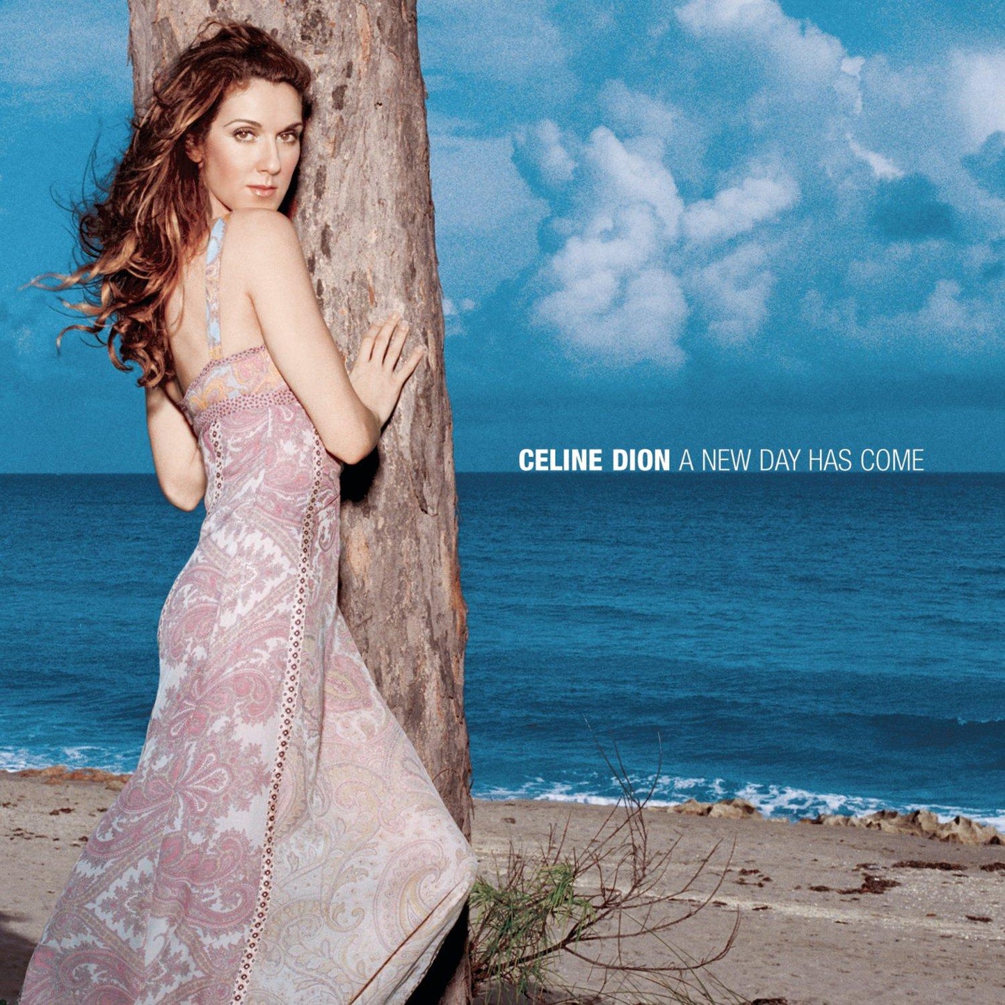 Celine Dion - A New Day Has Come - Cd