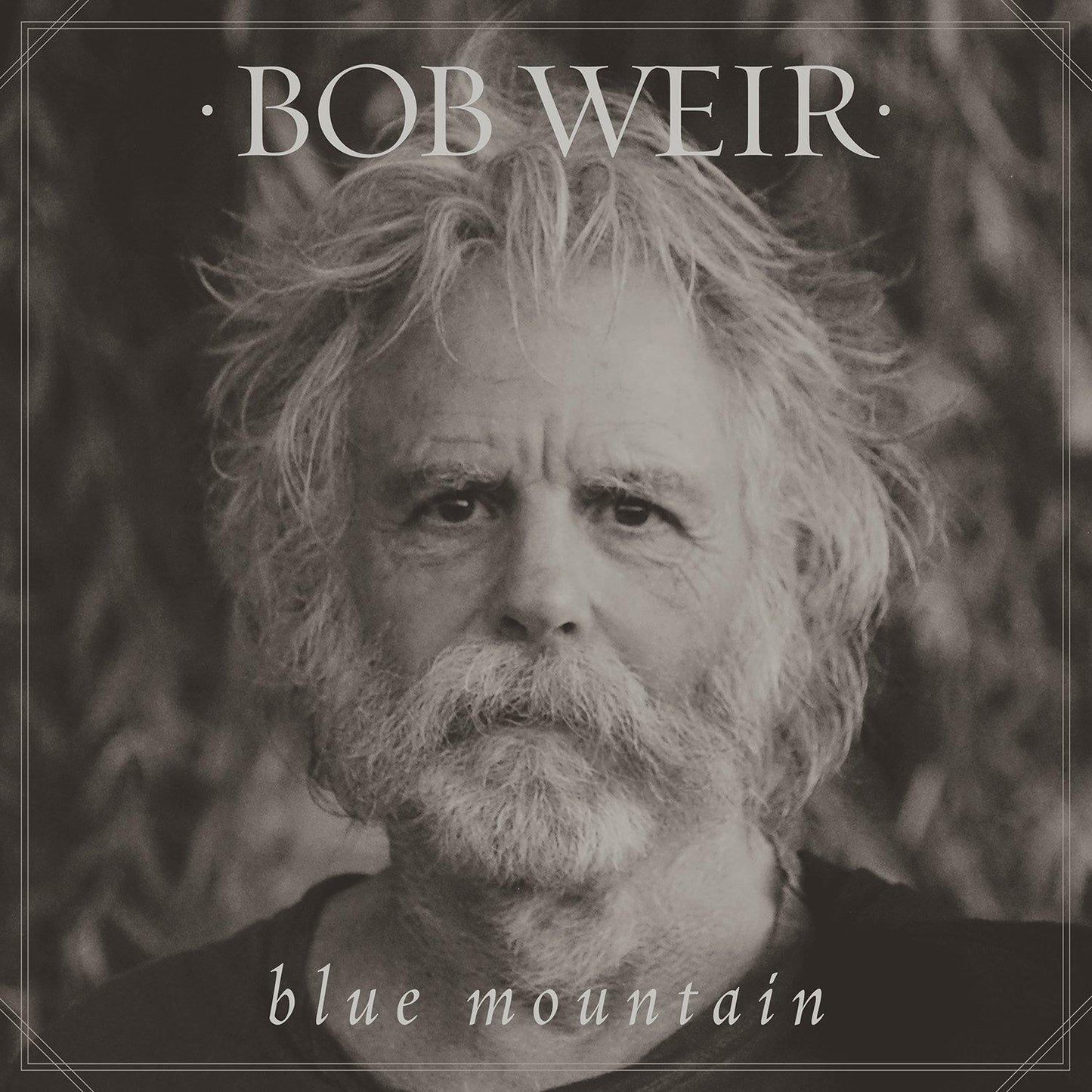Bob Weir - Blue Mountain - Cd
