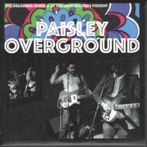 Dreaming Spires - Paisley Overground - Cdr