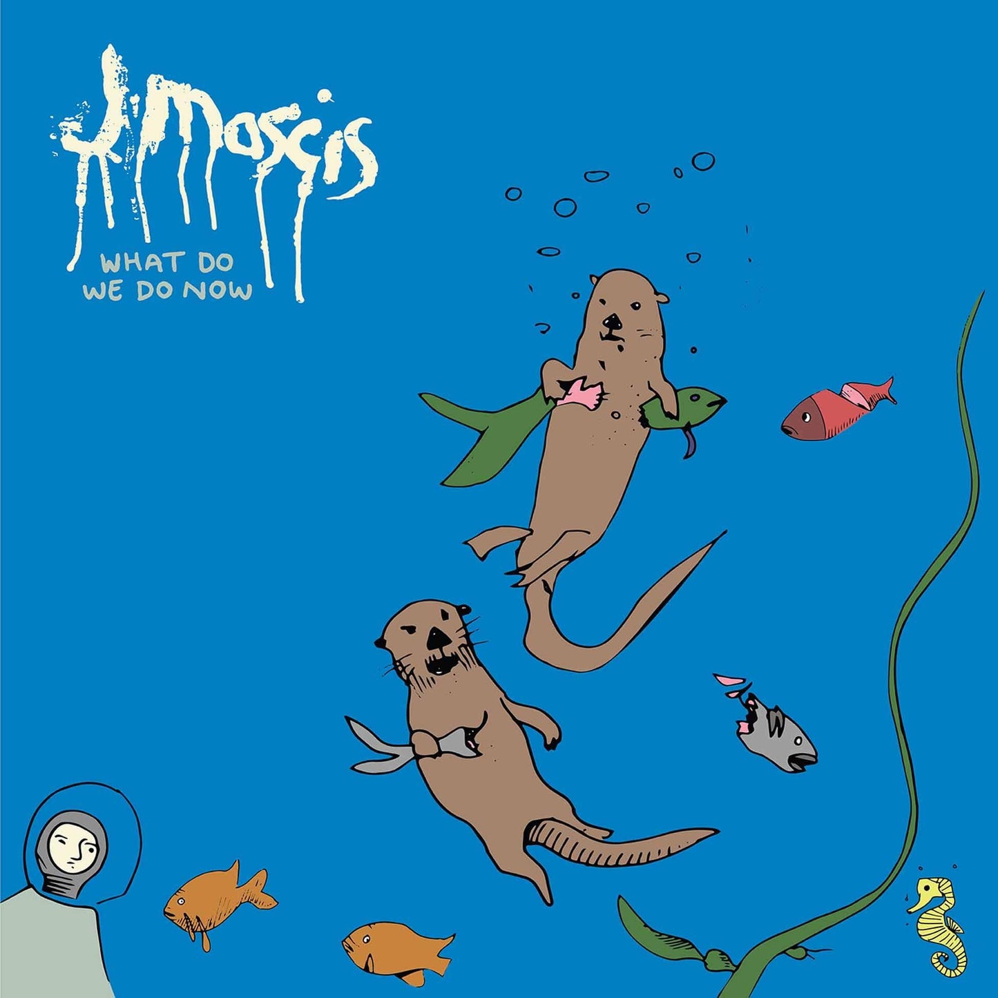 J Mascis - What Do We Do Now - Cd