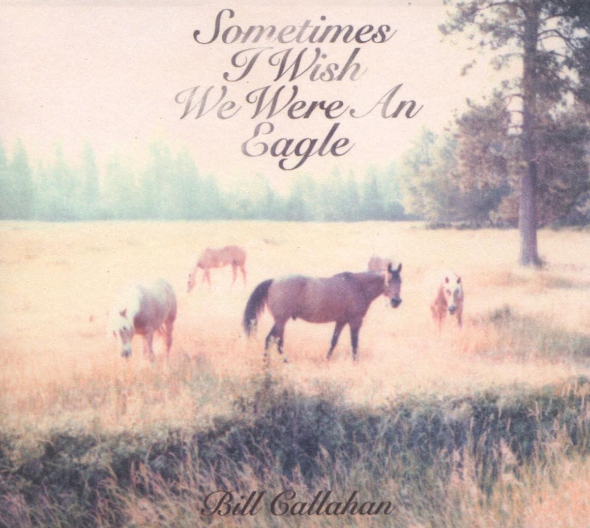 Bill Callahan - Sometimes I Wish We Were An Eagle - Cd