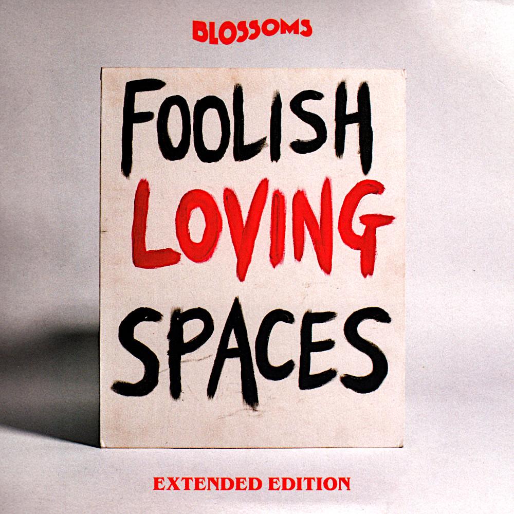 Blossoms - Foolish Loving Spaces (Extended Edition) - Double Cd