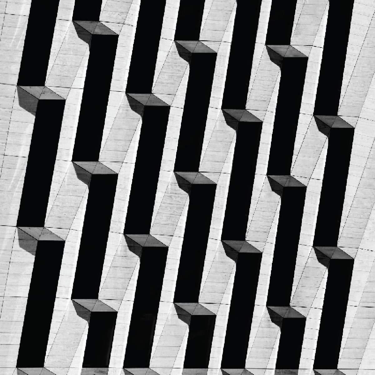 Snow Palms - Everything Ascending - 12 Inch