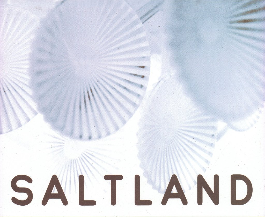 Saltland - I Thought It Was Us But It Was All Of Us - Lp