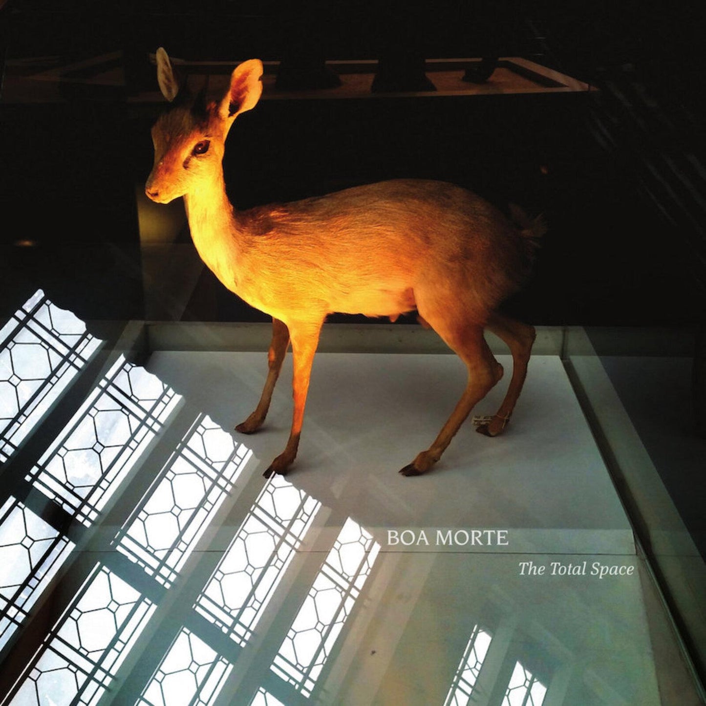 Boa Morte - Total Space - Cd