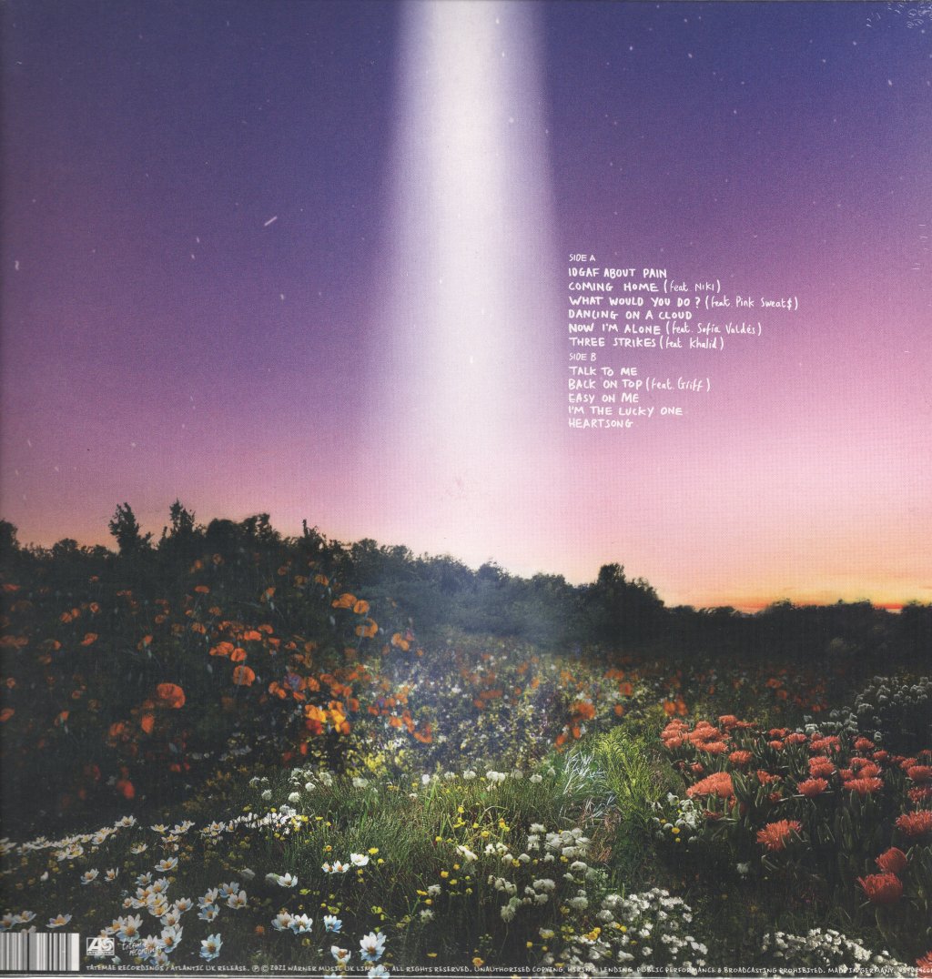 Honne - Let's Just Say The World Ended A Week From Now, What Would You Do? - Lp