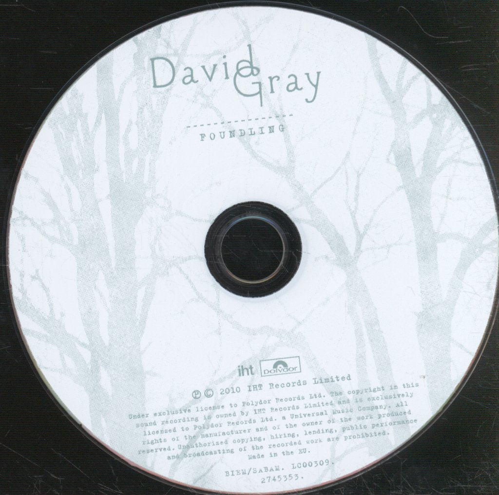 David Gray - Foundling - Cd