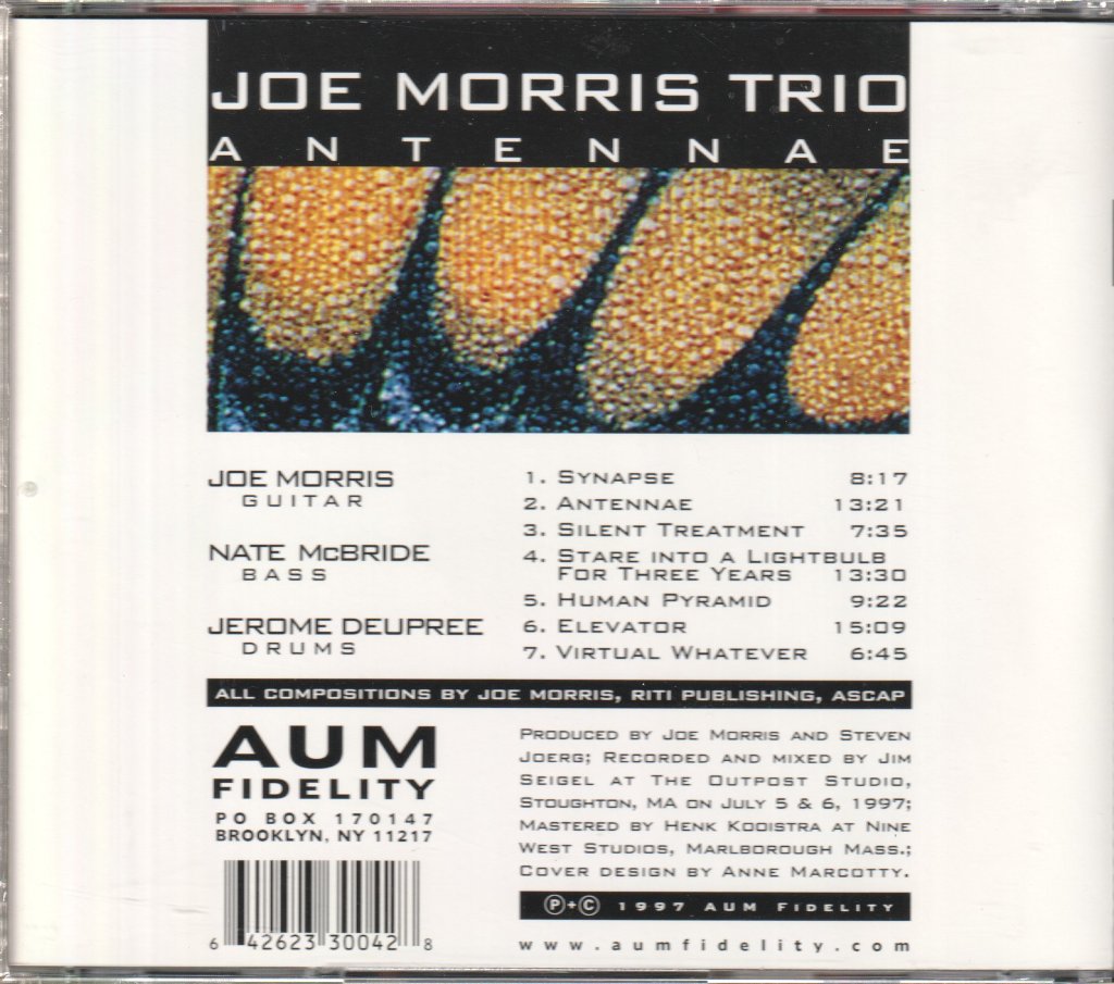 Joe Morris Trio - Antennae - Cd