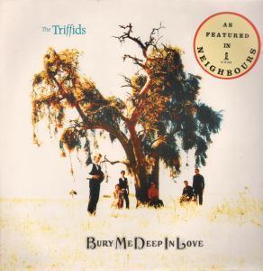 Triffids (Aussie Group) - Bury Me Deep In Love - 12 Inch