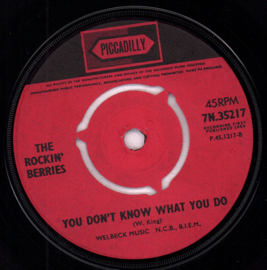 Rockin' Berries - What In The World's Come Over You - 7 Inch