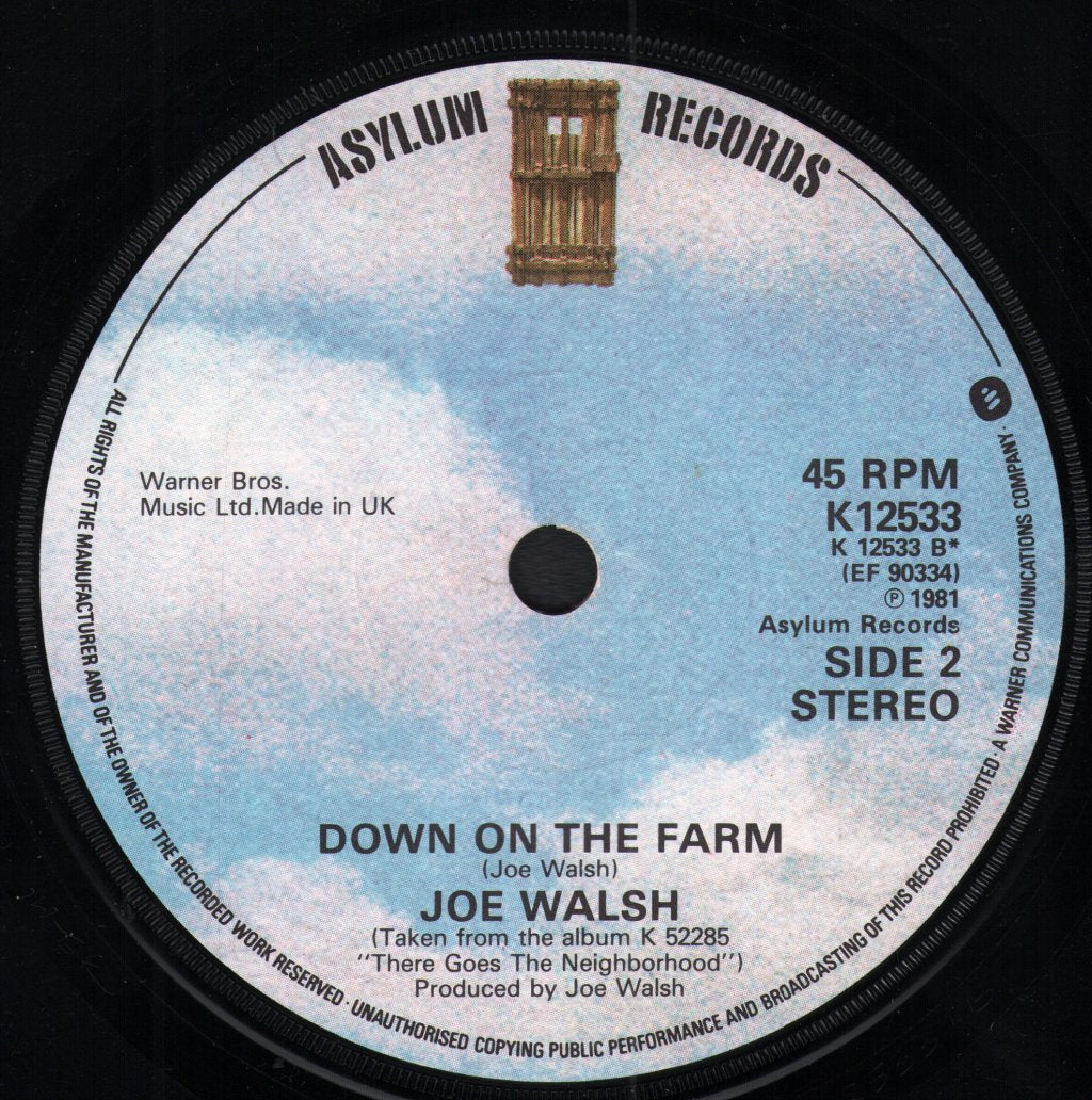 Joe Walsh - A Life Of Illusion - 7 Inch