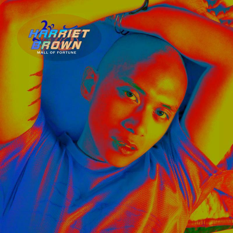 Harriet Brown - Mall of Fortune - Double Lp