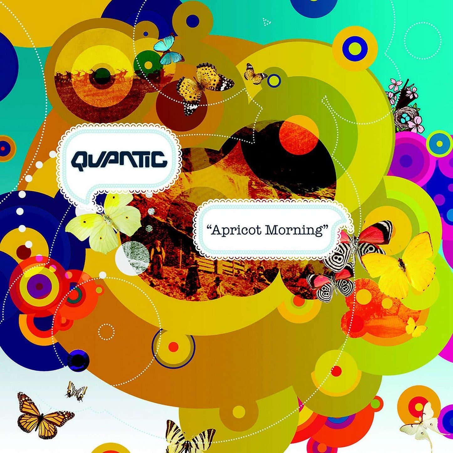 Quantic - Apricot Morning - Double Lp