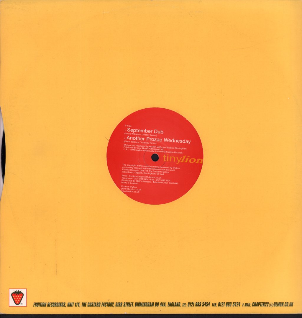 Tinylion - Don't - 12 Inch