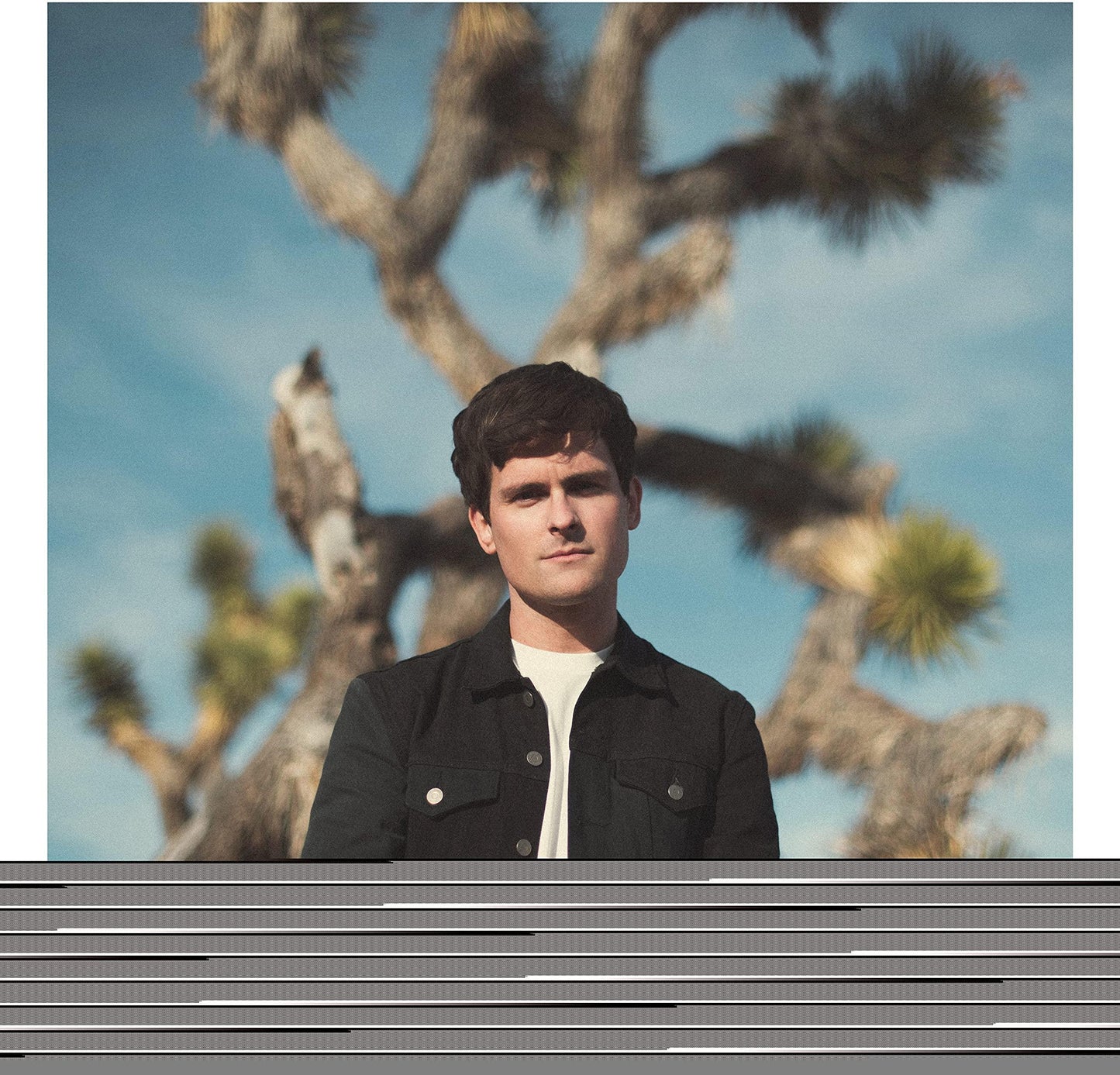 Tom Speight - Everything's Waiting For You - Lp