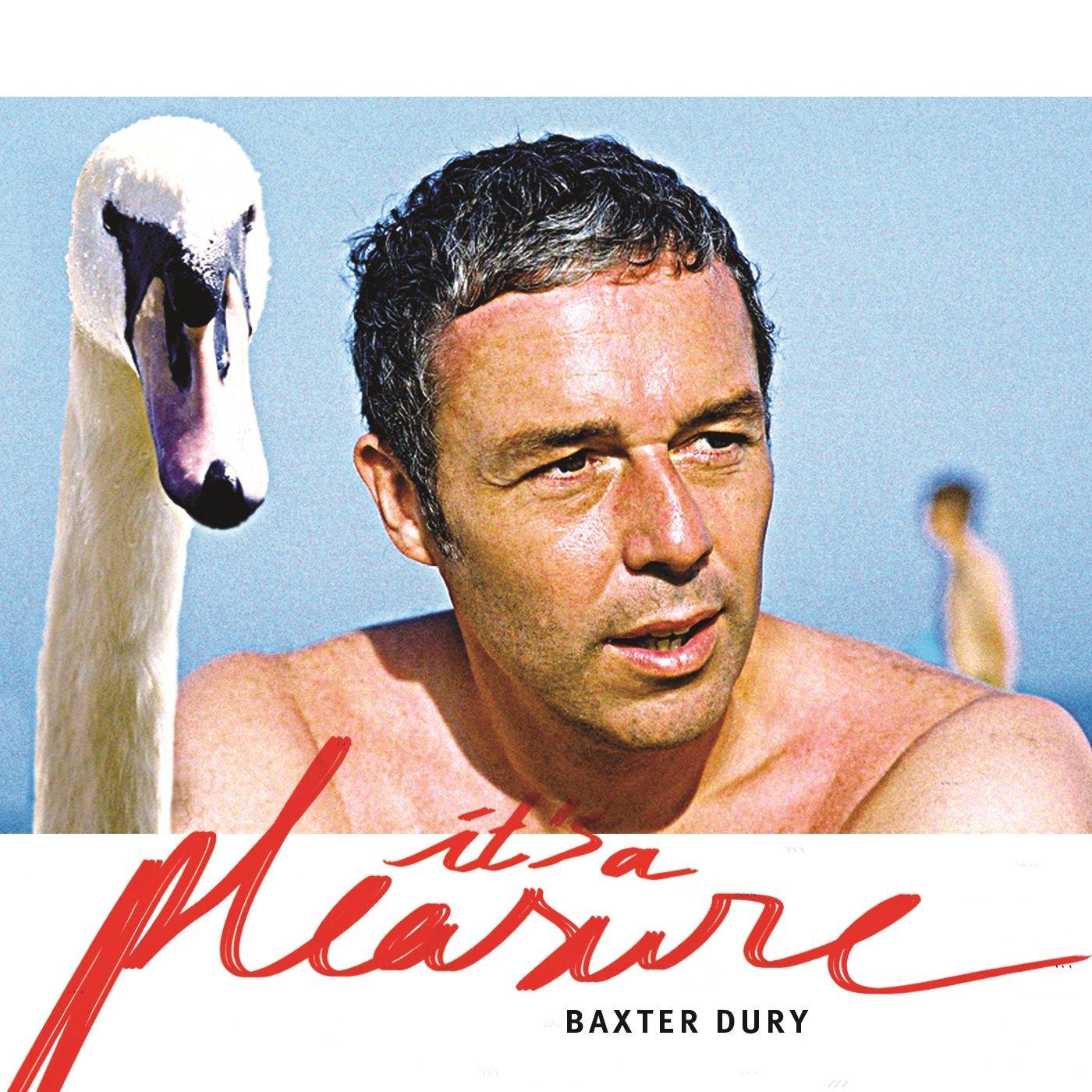Baxter Dury - It's A Pleasure - Cd