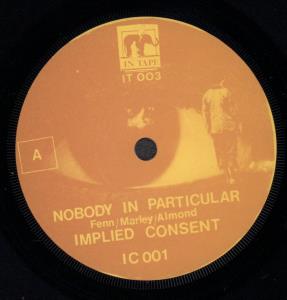 Implied Consent - Nobody In Particular - 7 Inch