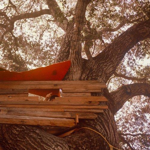 Backseat Lovers - Waiting To Spill - Lp