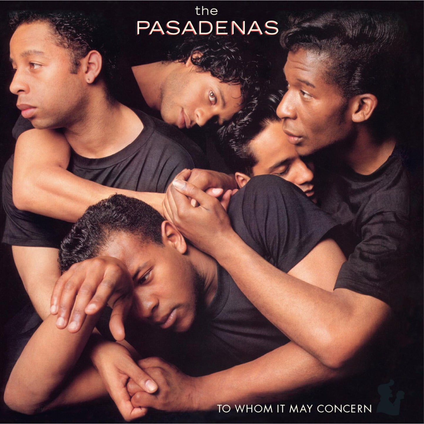 Pasadenas - To Whom It May Concern - Lp