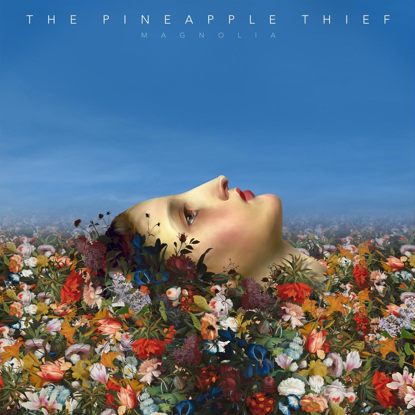 Pineapple Thief - Magnolia - Lp