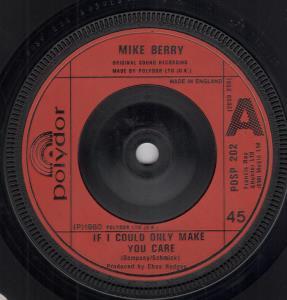Mike Berry - If I Could Only Make You Care - 7 Inch