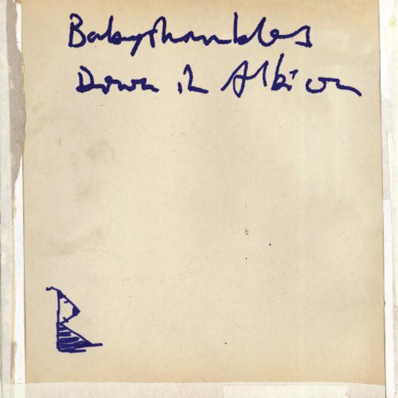 Babyshambles - Down In Albion - Cd