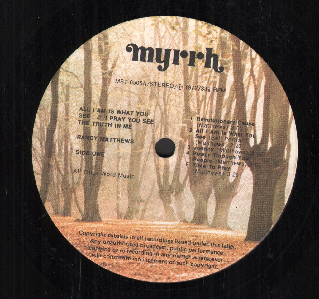 Randy Matthews - All I Am Is What You See - Lp