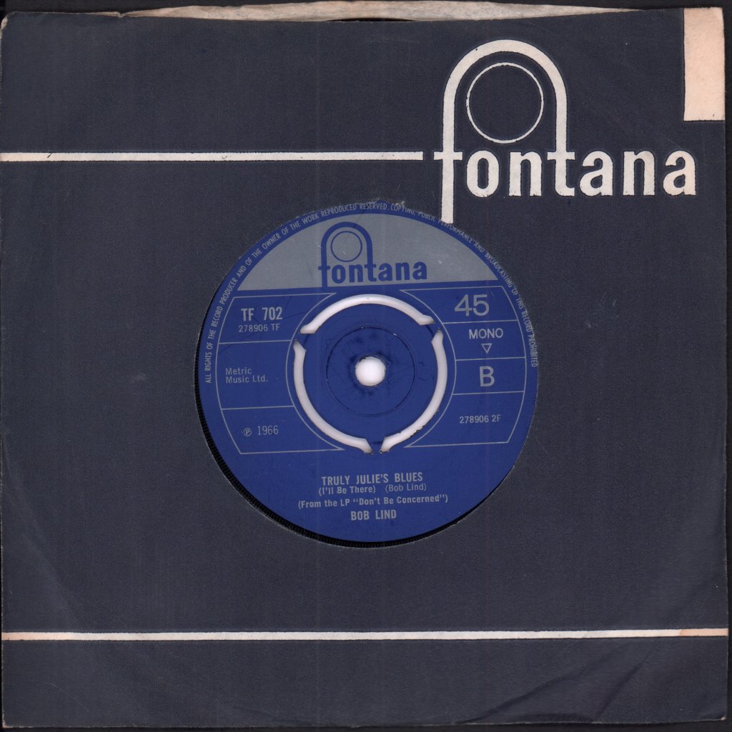 Bob Lind - Remember The Rain - 7 Inch