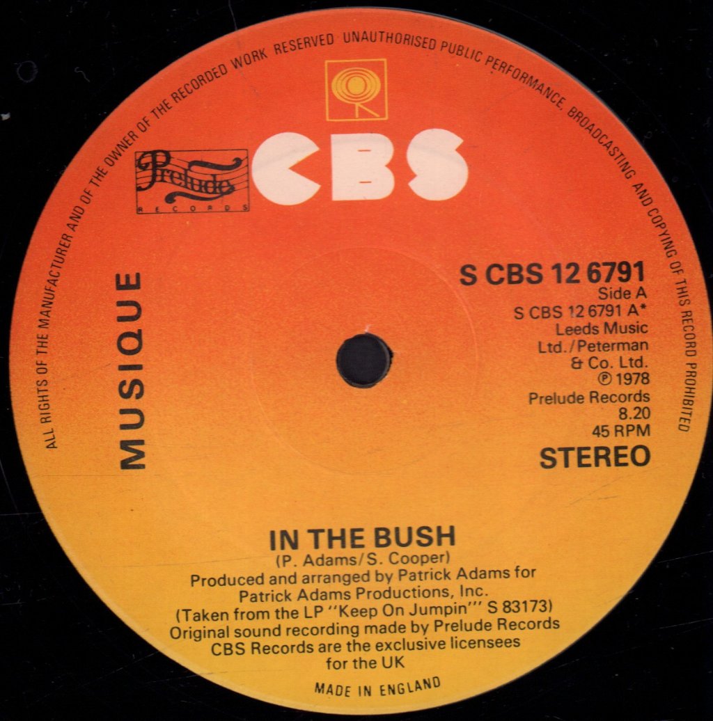 Musique - In The Bush - 12 Inch