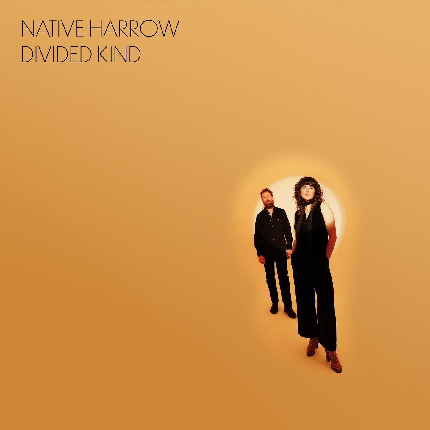 Native Harrow - Divided Kind - Cd