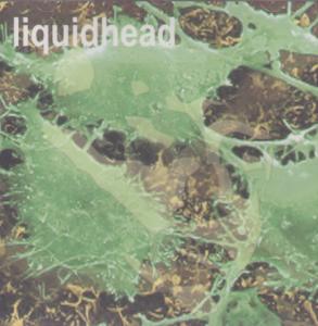 Liquidhead - Liquidhead - Cdr