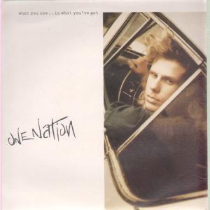 One Nation - What You See Is What You've Got - 7 Inch