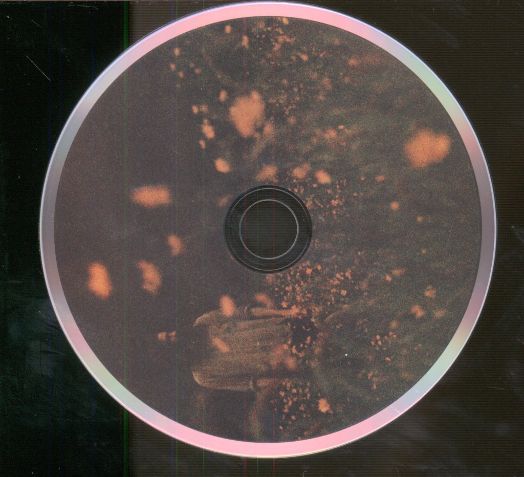Robin Adams - Garden - Cd