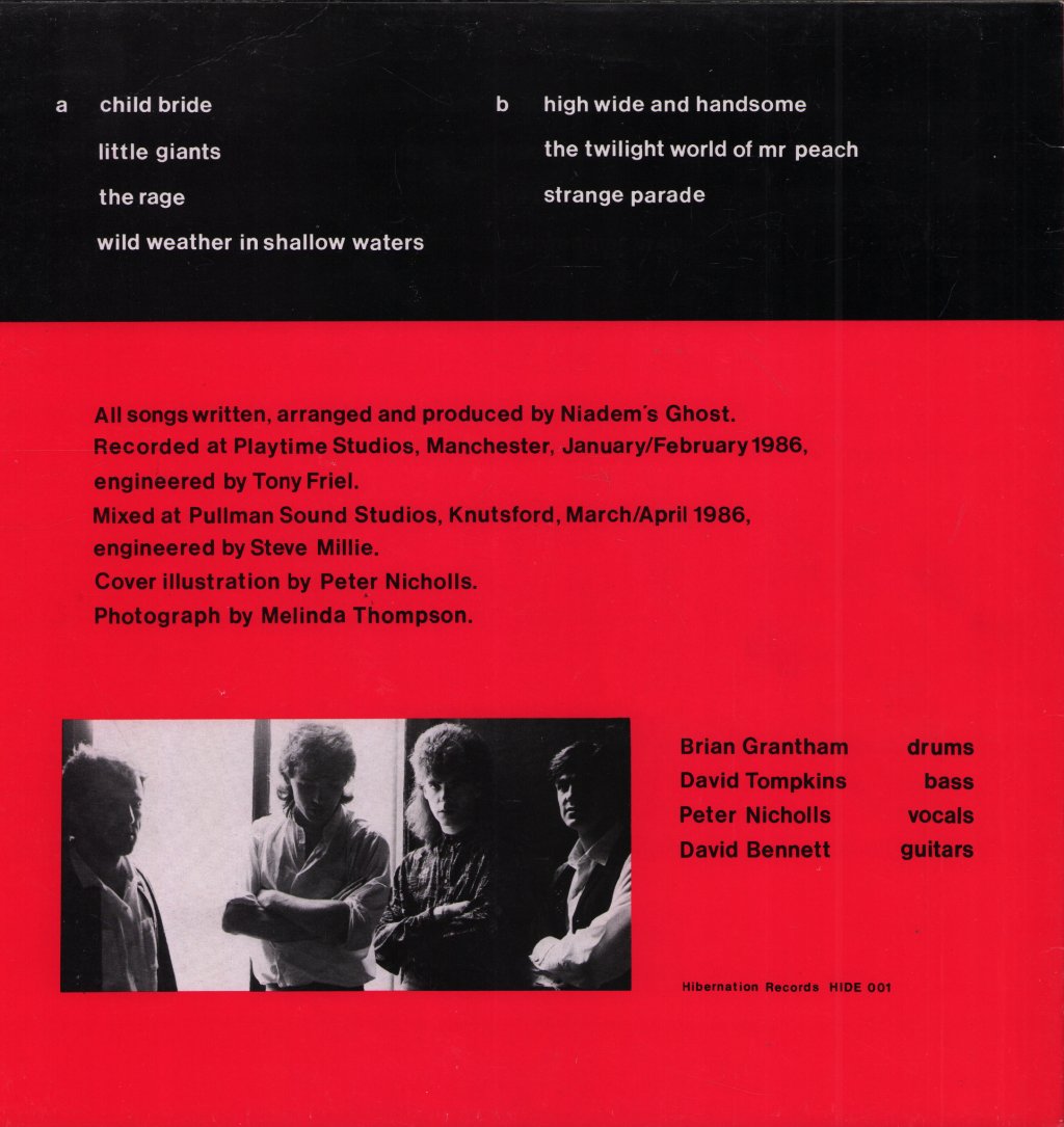 Niadems Ghost - In Sheltered Winds - Lp