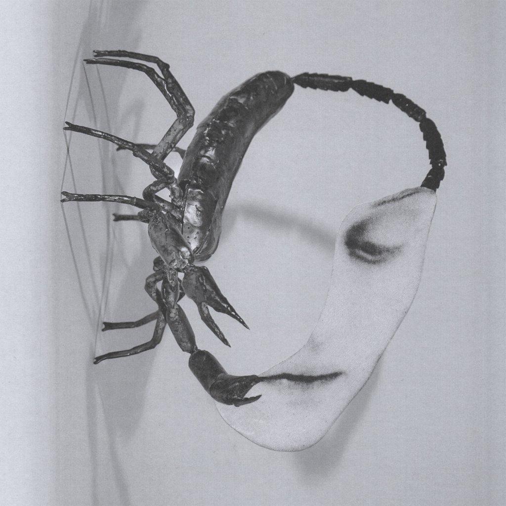 Tortoise - Touch - Lp
