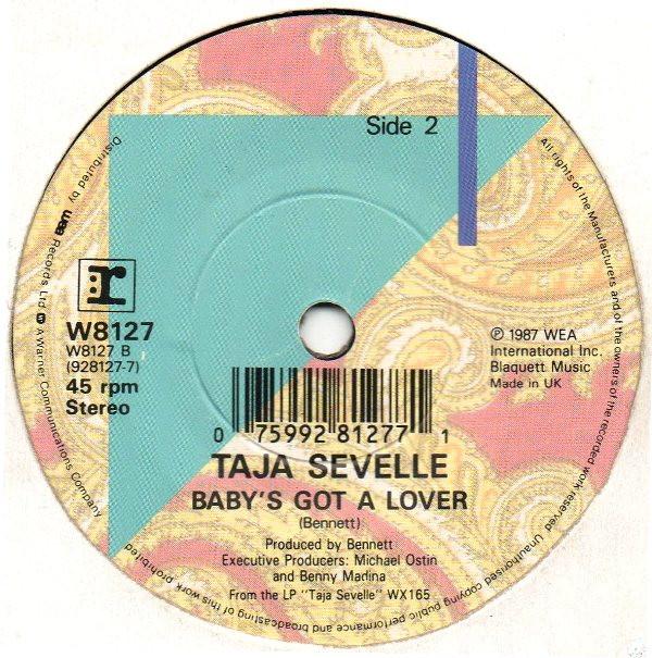 Taja Sevelle - Wouldn't You Love To Love Me? - 7 Inch