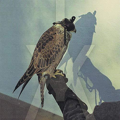 Ice Age - You're Nothing - Lp
