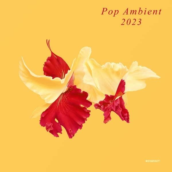Various Artists - Pop Ambient 2023 - Cd
