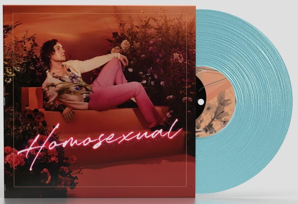 Darren Hayes - Homosexual - Double Lp