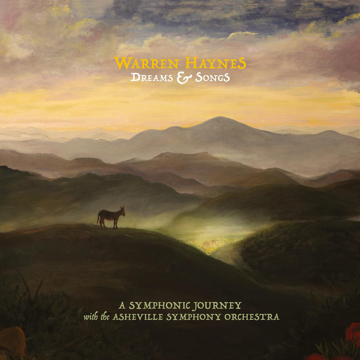 Warren Haynes - Dreams & Songs - Cd