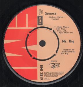Mr Big (70'S Group) - Senora - 7 Inch