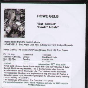 Howe Gelb - But I Did Not - Cdr